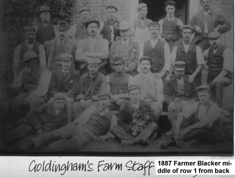 Goldingham farm staff 1900ish